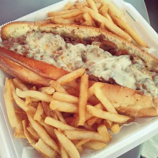 Cheesesteak combo