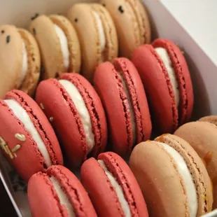 Macaroons