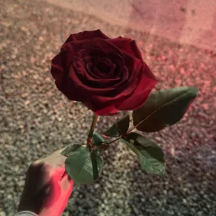 cupcakes, dessert, food