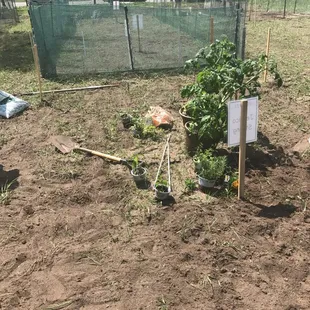 The community center offers garden plots to be rented!