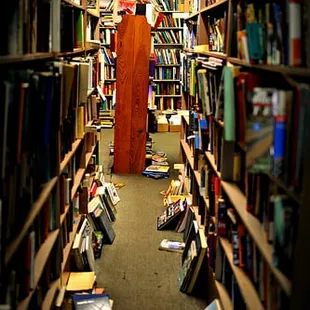 The second floor where 'Bookstroe Cat' hangs out