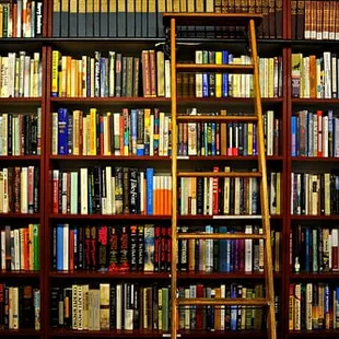 I dig these kinds of ladders in bookstores.