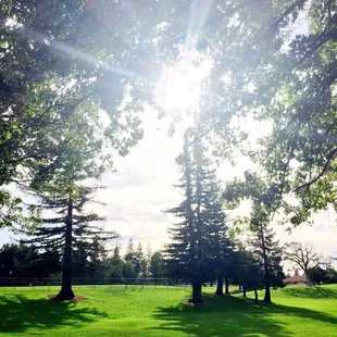 Beckman Park