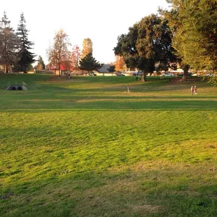 This is the designated dog side. To the left (south side of the park) are soccer fields where dogs are not allowed off leash.