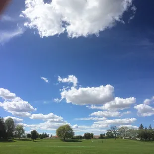 This park is beautiful! Thank you Lodi for keeping it so nice. The trees are my favorite part about it. So peaceful.