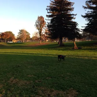 Enjoying the wide open space!