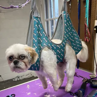 How some babies have to get their nails trimmed