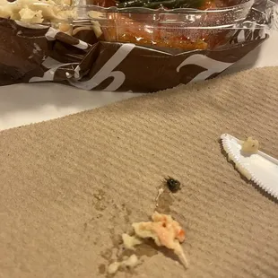 Bug in food