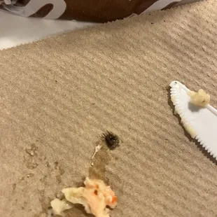 Bug in my food