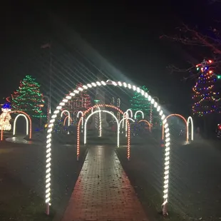 Holiday lights