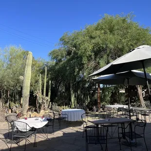 Cacti courtyard