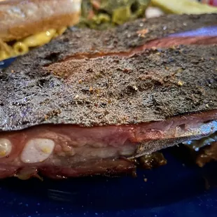 Great bark on the rib