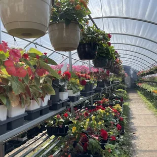 Bedner's Farm Market