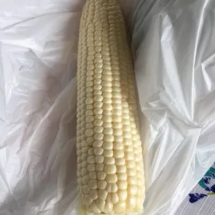 White corn