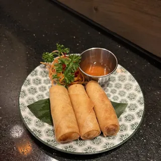 Vegetarian Spring Rolls