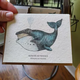 I love the seed cards