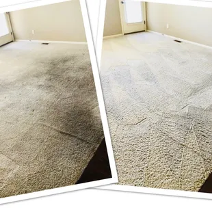 Before and After Transformation: A Recent Bee-Kleen Colorado Springs Carpet Cleaning Project.