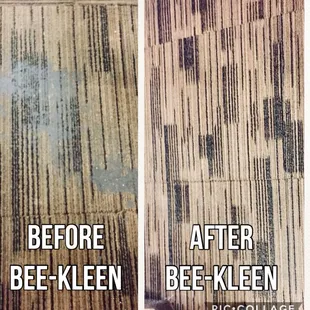 Bee-Kleen restoring carpets in Colorado Springs!