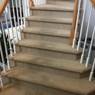 Before carpet cleaning