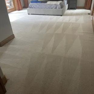 Master bedroom had some stains from our dog vomiting (yuck) and mud from my husband's shoes.  Everything came out beautifully!