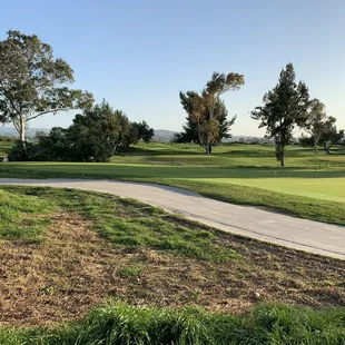 a view of a golf course