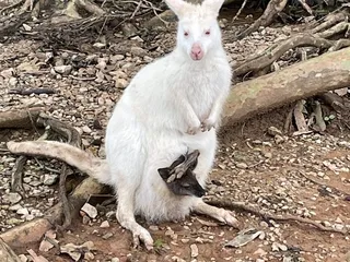 Kentucky Down Under Adventure Zoo