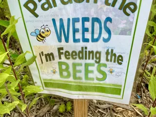 Paradise Creek Nature Park