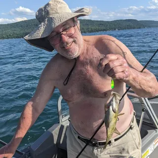 Robert S.