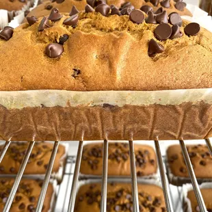 pumpkin chocolate chip bread
