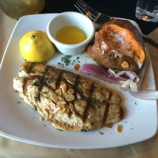 Red Snapper