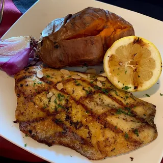 Tilapia