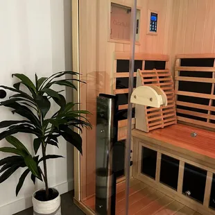 Sauna and fake plant