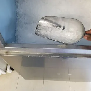 a hand holding a scoop of ice