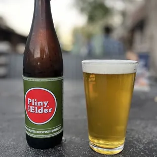 Pliney the Elder