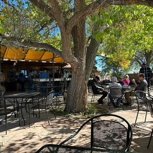 Drinking under the shade of the trees