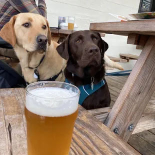 Mae and Checha, enjoying the patio and having a fresh beer!