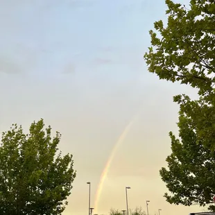 a rainbow in the sky