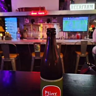 Pliny The Elder
