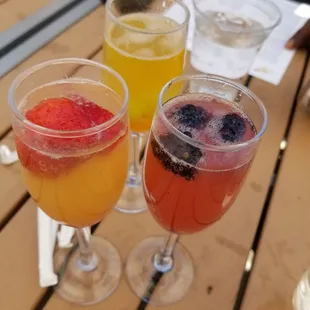 Mimosa flight