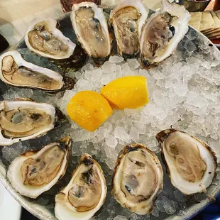 Raw Oysters