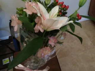 Inglis Florists