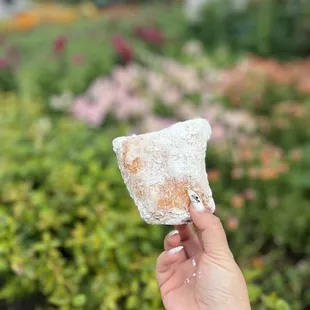 Beignet