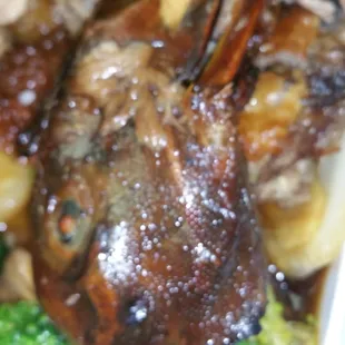 Duck head complete with feathers on a bed of bone and broccoli.