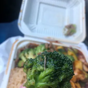 a hand holding a piece of broccoli