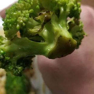 Nasty broccoli