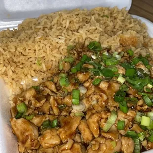 Teriyaki chicken  with fried rice