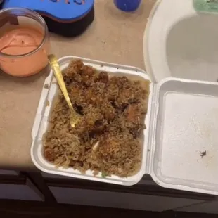 An overview of the food and the mosquito.