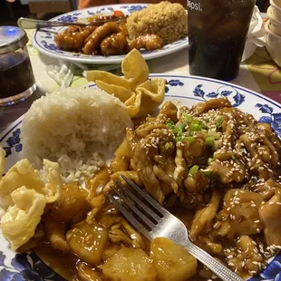 Teriyaki Chicken and Orange Chicken