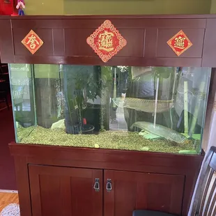 Front door fish tank