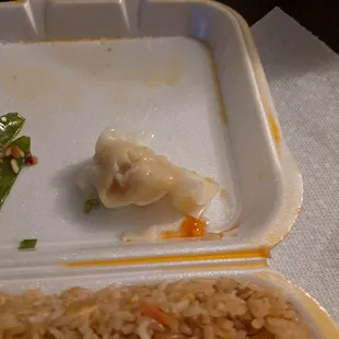 Wonton Soup